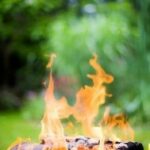 Feu de camp vibrant au cœur d'un jardin verdoyant, les flammes dansantes capturant une ambiance à la fois sauvage et accueillante.