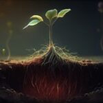 Illustration dramatique d'une jeune plante avec ses racines exposées, s'étendant profondément dans le sol riche. La lumière mystique souligne le système racinaire vibrant, symbolisant la croissance et la force cachée de la nature.